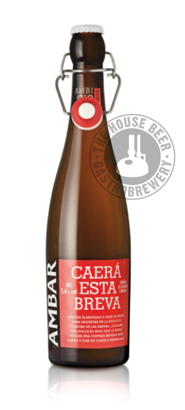 AMBAR CAERÃ ESTA BREVA / FRUIT BEER