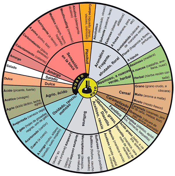 Logotipo Natural beer by ambar